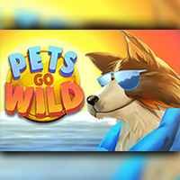 Pets Go Wilds